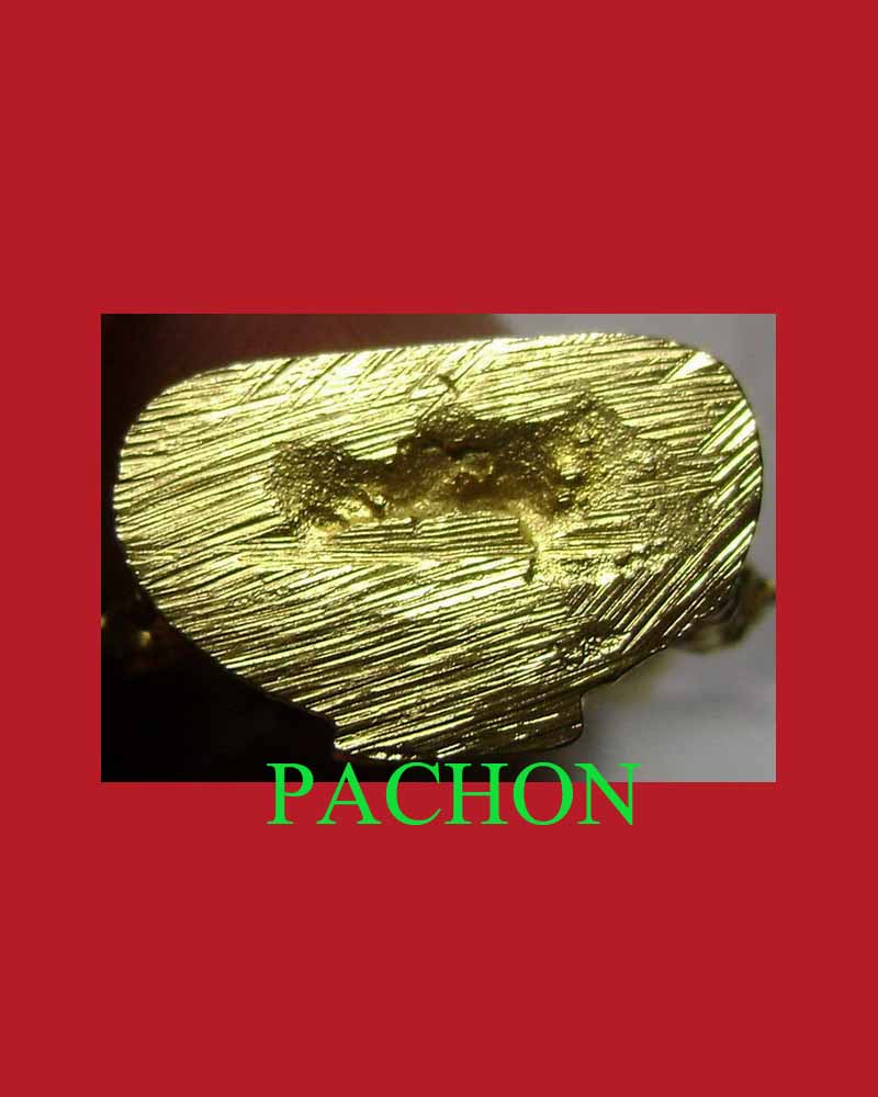 หลวงพ่อเพชร ปี 2518 วัดศรีศรัทราราม(หนองลากฆ้อน)