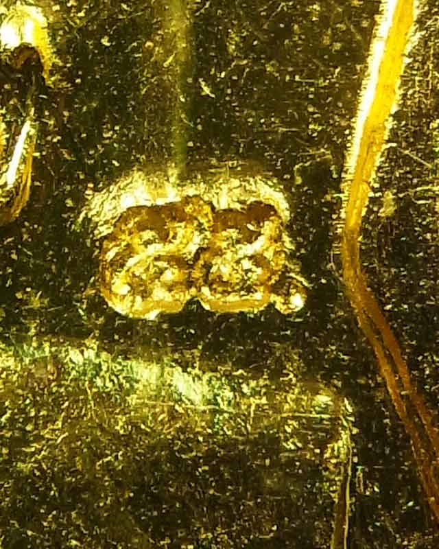 เหรียญเสมาหลวงปู่ทวด วัดช้างให้ หลัง อาจารย์ทิม ปี55 เนื้อกะไหล่ทองลงยา เคลือบเรซิ่น สวยๆเดิมๆ  1