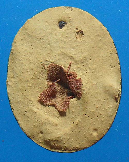 ล็อกเก็ต หลวงพ่อจรัญ วัดอัมพวัน สิงห์บุรี องค์ที่3