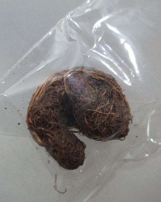20 บาท ชานหมากไม่ทราบที่ครับ