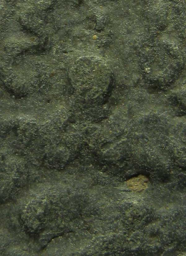 พระกลีบบัวหลังพระปิดตา หลวงปู่บุญ วัดกลางบางแก้ว พระสวยยยยยยยยยยย ### เคาะเดียว ### 