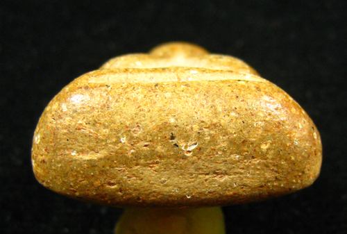 พระปิดตารุ่นแรก หลวงปู่หมุน ฐิตสีโล วัดป่าหนองหล่ม ปี 2542