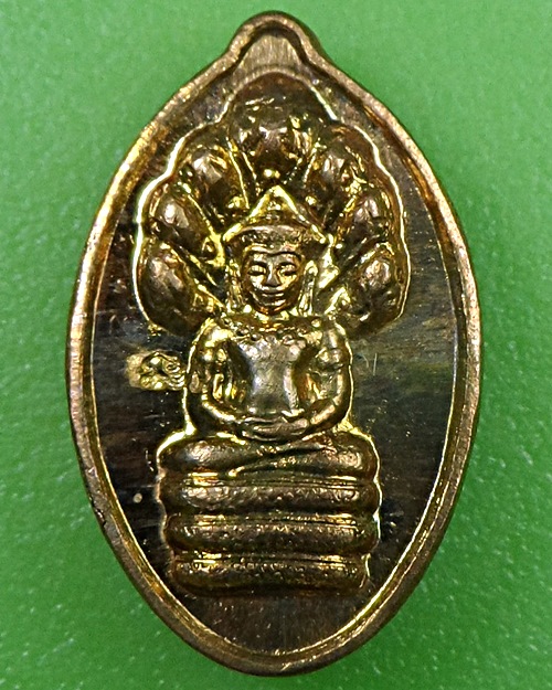 ปรกเม็ดฝักทอง หลวงปู่หงษ์ พรหมปญฺโญ