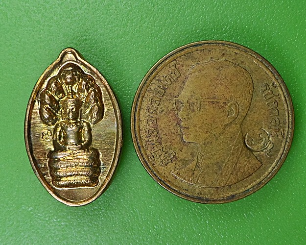 ปรกเม็ดฝักทอง หลวงปู่หงษ์ พรหมปญฺโญ