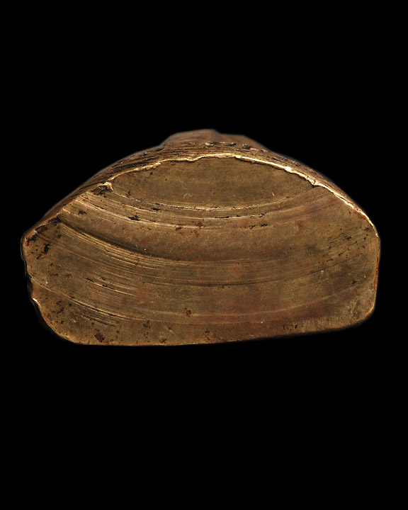 รูปปั๊มพ่อท่านคล้าย พิมพ์เล็ก วัดธาตุน้อย 2505