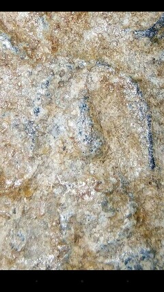 ยอดอัฎฐารส ครับ