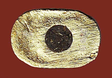 เสือมหาอำนาจหลวงพ่อสาคร วัดหนองกรับ เนื้อนวะโลหะกะไหล่ทอง 