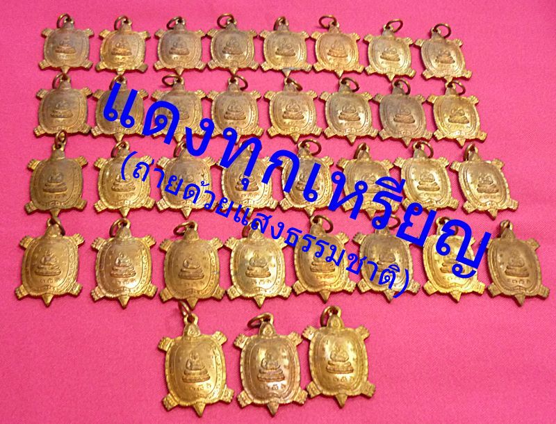 เหรียญพญาเต่าเรือน หลวงปู่หลิว วัดไร่แตงทอง รุ่นไตรมาส ปี 2536 บล็อกนิยม อุนอน สภาพสวย..../4-614