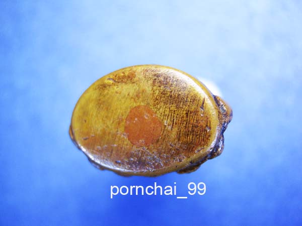 พระกริ่งหลวงปู่โต๊ะออกวัดใหม่่อัมพรปี 18 เคาะเดียว