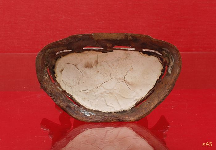 พระบูชาพระพุทธชินราช พระบ้าน