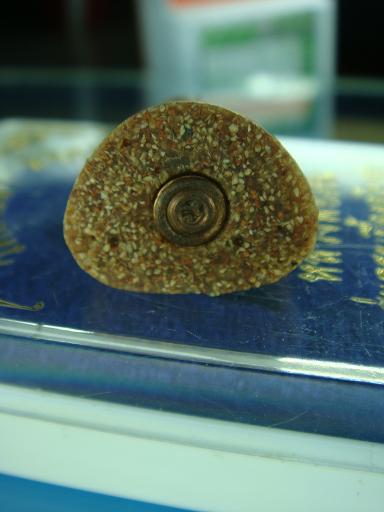 *รูปเหมือน หลวงพ่อเงิน รุ่นกระเบื้องอุโบสถ วัดท้ายน้ำ พิจิตร