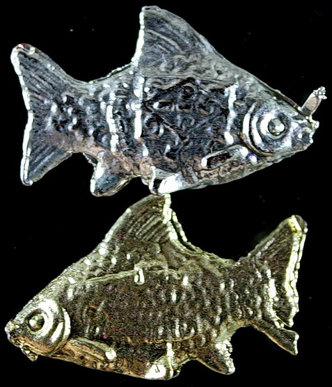 ตะเพียนเงินทอง หลวงพ่อทิม วัดพระขาว