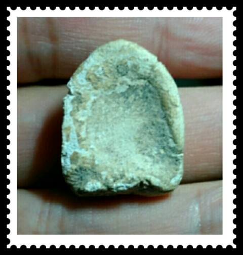 พระกรุวัดเงินคลองเตย พิมพ์พระคง