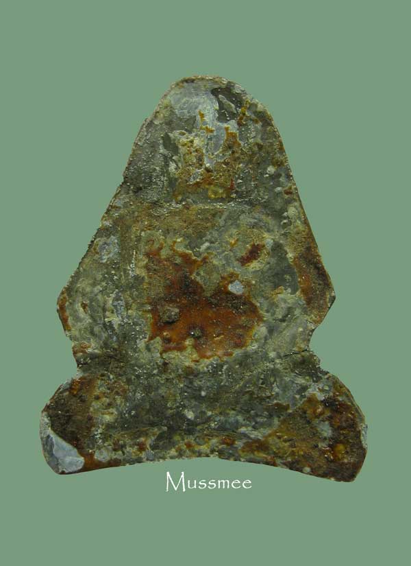  พระสังกัจจายน์ กรุบางขลัง สุโขทัย พระสวยยยยยยยยยยยยยยยยยยย 