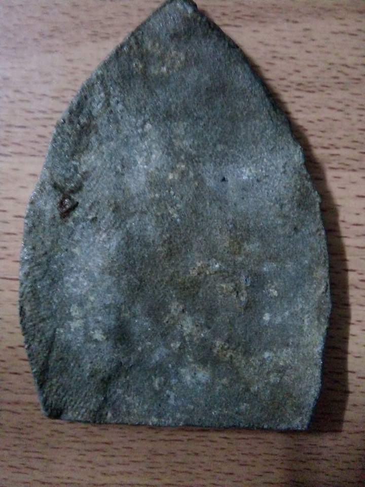 ซุ้มกระรอกกระแต...มาพร้อมใบประกาศ