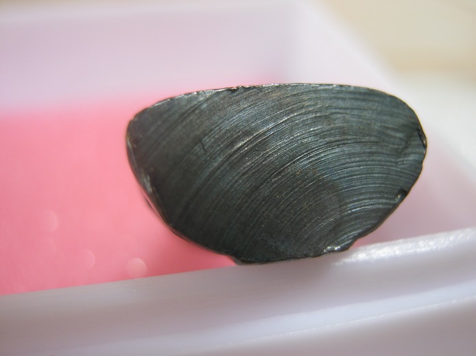 พระกริ่งหลวงพ่อโสธร ปี2508 หน้าใหญ่นิยม