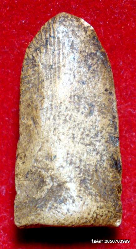 พระรอด วัดพระสิงห์ จ.เชียงใหม่ ปี 2496