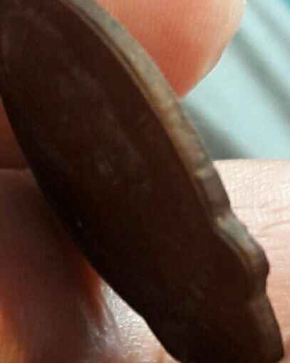 เหรนียญไตรมาส หลวงปู่ดุลย์ 21สวย