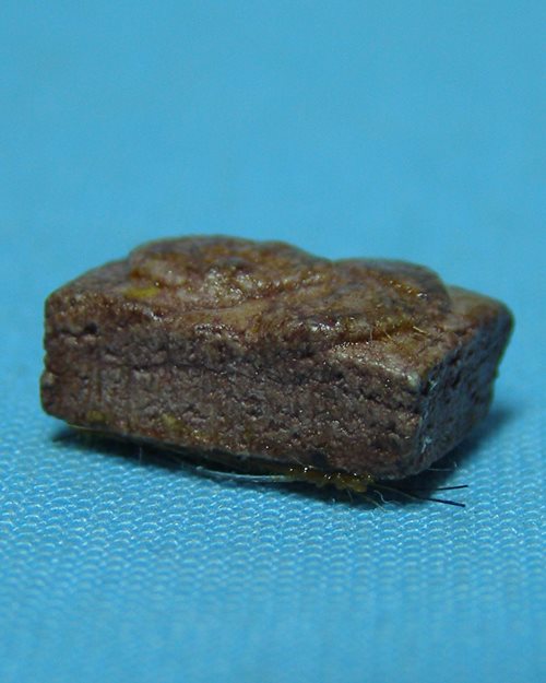 พระผงจิ๋วเคลือบชะแล็กหลังติดจีวรและเกศา หลวงพ่อแช่ม ปี28 วัดดอนยายหอม จ.นครปฐม