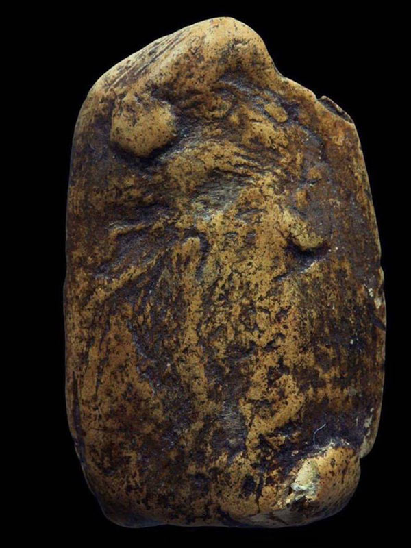 พระคงลำพูน กรุเก่า