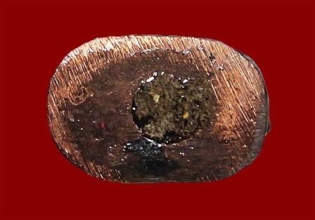 เสือมหาอำนาจหลวงพ่อสาคร วัดหนองกรับ เนื้อทองแดง