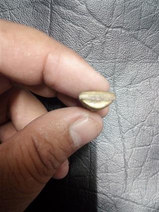 รูปหล่อปั๊มหลวงพ่อจ้อยวัดศรีอุทุมพรนครสวรรค์