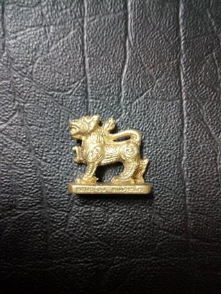 สิงห์หลวงพ่อจ้อยวัดศรีอุทุมพร