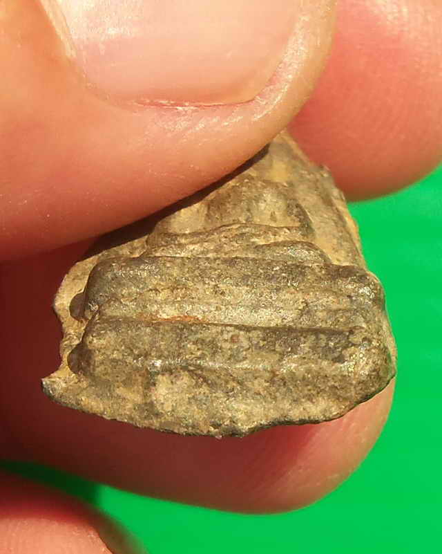 พระเชตุพนแขนหักศอกพิมพ์ฐานสูง กรุวัดพระธาตุเขาหินตั้ง สุโขทัย