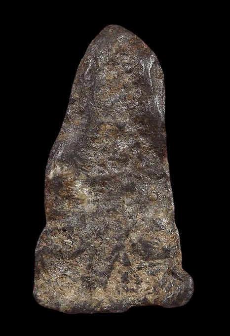 พิจิตรใบข้าว