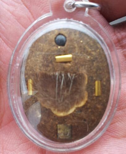 ล็อกเก็ต หลวงปู่หงษ์ พรหมปัญโญ รุ่น นั่งรวย ฝังหน้าผากเสือ ตะกรุดทองคำ จัวร เกศา แ