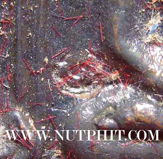 6*เหรียญเจ้าสัว* หลวงพ่อเกษม เขมโก ท่านพร้อมที่จะเป็นเจ้าสัวได้แล้ว*