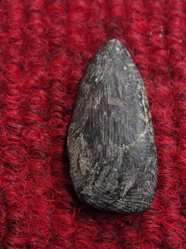 พระศิวลีพิมพ์มีย่าม หลวงพ่อกวย วัดโฆสิตาราม เนื้อผงใบลาน#1