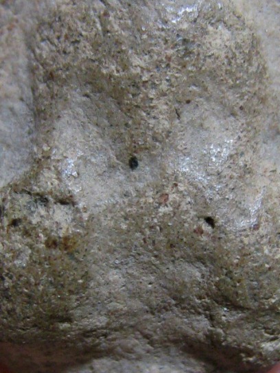 พระเม็ดน้อยหน่า เนื้อดิน จ.สุโขทัย มาพร้อมบัตรรัรบรองความแท้