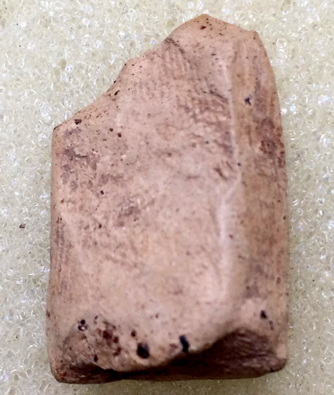 พระคงลำพูน กรุใหม่ เนื้อสีขาว