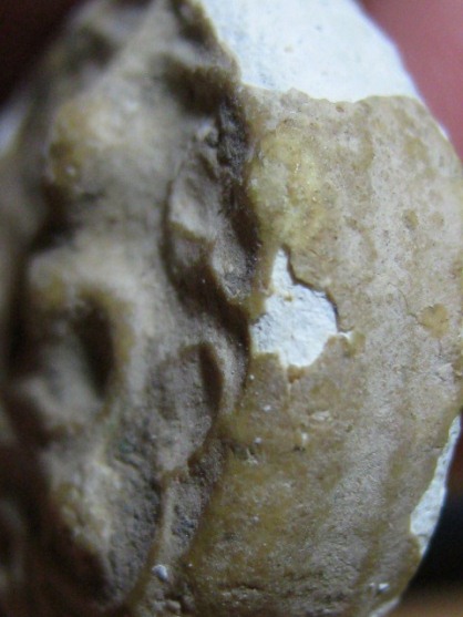 พระกรุวัดคู้สลอด พิมพ์จันทร์ลอย เนื้อผง จ.พระนครศรีอยุธยา สภาพพอใช้ มาพร้อมบัตรรับรองความแท้