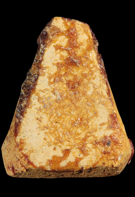 พระสังกัจจายส์ วัดเกาะกลอย