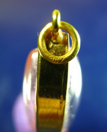 พระปรกใบมะขาม หลวงพ่อสาคร วัดหนองกรับ ปี 53 พร้อมเลี่ยมทองแท้สวยงามA1