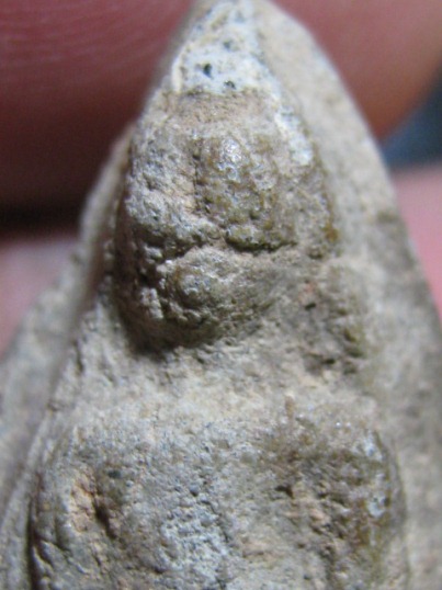 พระนางพญา เนื้อผง กรุวัดมอญ จ.อ่างทอง ตัดปีกกว้าง มาพร้อมบัตรรับรอง