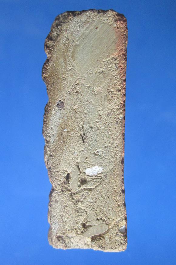 พระแผงนาดูนตัดเก้า