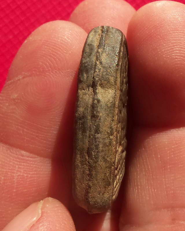 พระเหนียวในตำนาน พระชินราช 2 หน้า กรุบางยี่หน จ.สุพรรณบุรี เนื้อดินเผา