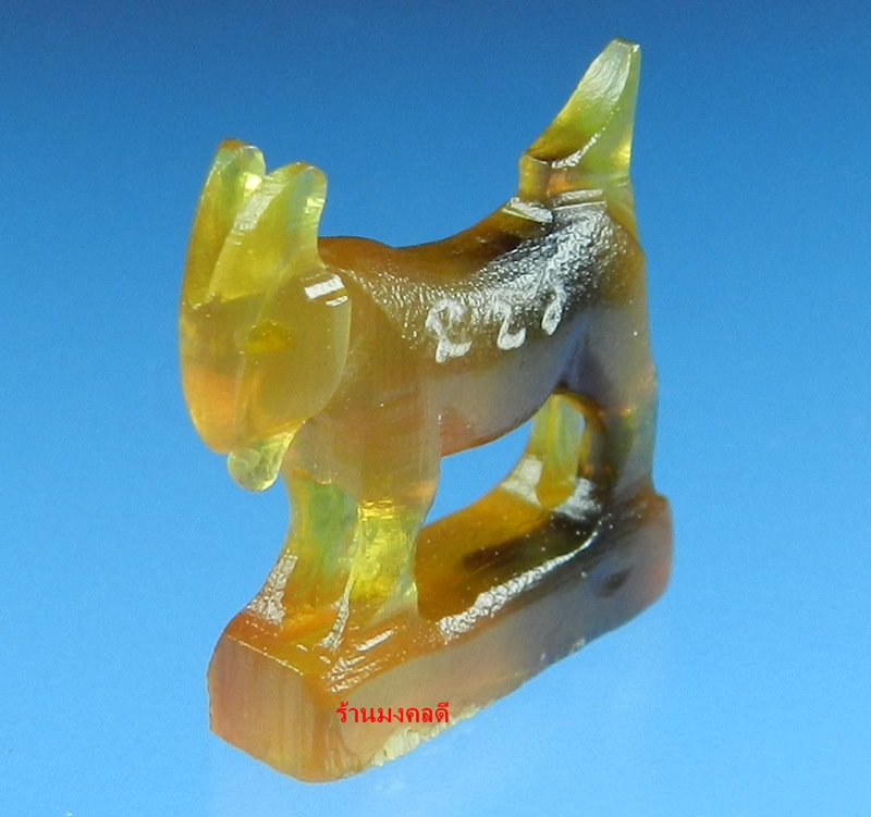 แพะมหาเสน่ห์ แกะจากเขาควายสีน้ำผึ้งเข้มสลับสีดำ หลวงพ่อสิน วัดละหารใหญ่ (สภาพสวยมาก) No.23