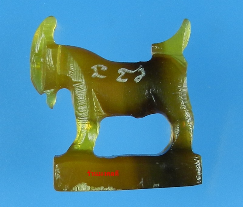 แพะมหาเสน่ห์ แกะจากเขาควายสีน้ำผึ้งเข้มสลับสีดำ หลวงพ่อสิน วัดละหารใหญ่ (สภาพสวยมาก) No.23