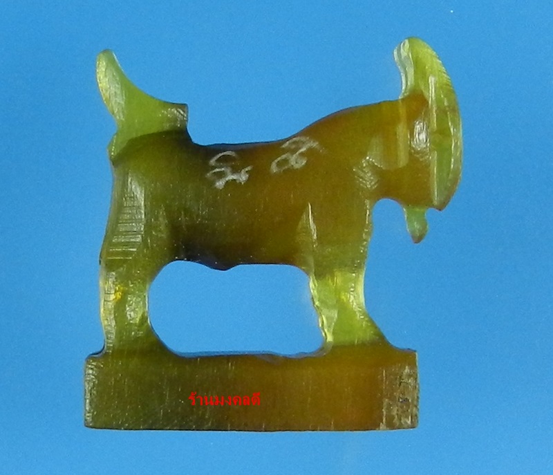 แพะมหาเสน่ห์ แกะจากเขาควายสีน้ำผึ้งเข้มสลับสีดำ หลวงพ่อสิน วัดละหารใหญ่ (สภาพสวยมาก) No.23