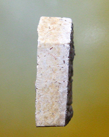 หลวงพ่อสาคร มนุญโญ วัดหนองกรับ อ.บ้านค่าย จ.ระยอง( ศิษย์เอกหลวงปู่ทิม )