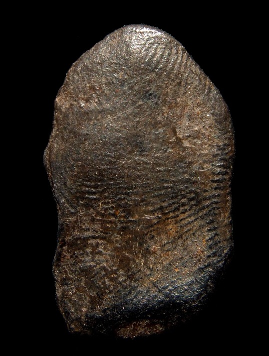 ยอดขุนพลสุโขทัย พิมพ์เล็ก กรุเตาทุเรียง หน้าตาพริบๆ