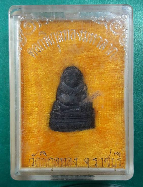 ดอกพิกุลทองมหาลาภ วัดพิกุลทอง จ.ราชบุรี