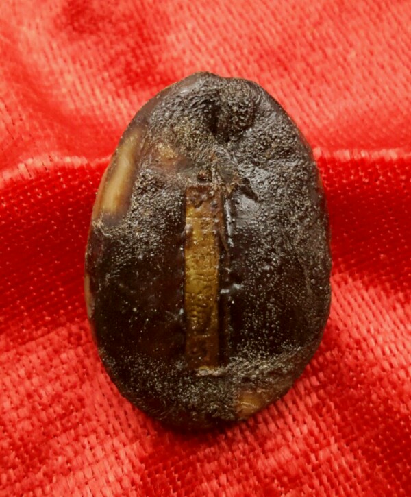 เบี้ยแก้ บรรจุปรอท หลวง พ่อ เกษม รุ่น สุริยุปราคา ปี 2538