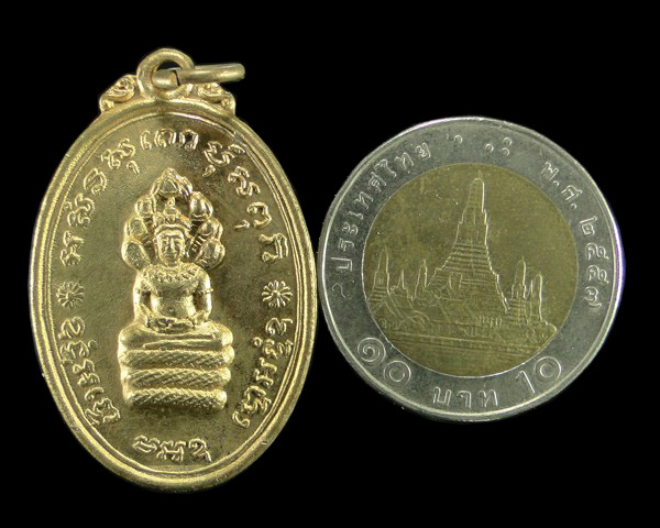 เหรียญนาคปรกหลังรูปเหมือน หลวงพ่อแพ วัดพิกุลทอง ปี ๒๕๑๔