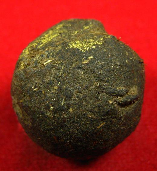 ลูกอมยุคต้น หลวงปู่หมุน ฐิตสีโล ออกวัดป่าหนองหล่ม เม็ดแร่ เกศาสุดยอดมวลสาร (15)