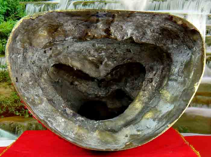 ***พระกริ่งบูชา*** เนื้อทองเหลืองขัดเงา หน้าตัก 5 นิ้ว ฐานกว้าง 7.5 x 5.2 นิ้ว สูง 12 นิ้ว  